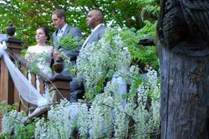 Toast on the rear deck with White Wisteria in bloom - early MaySpringwood Manor