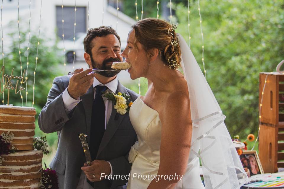 Cake Cutting