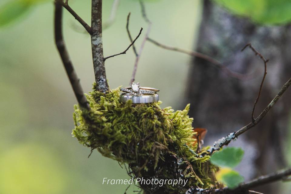 The Rings