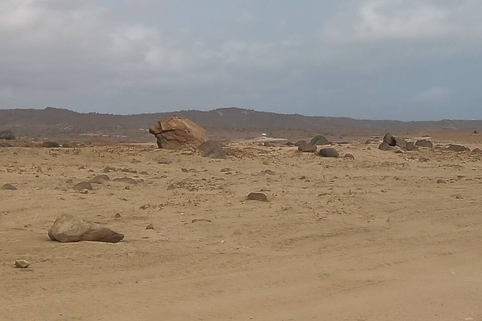 Wonderful beach day