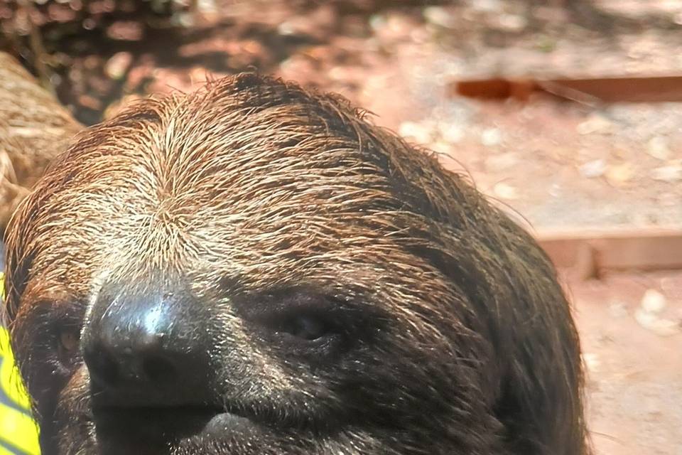 Look at this face