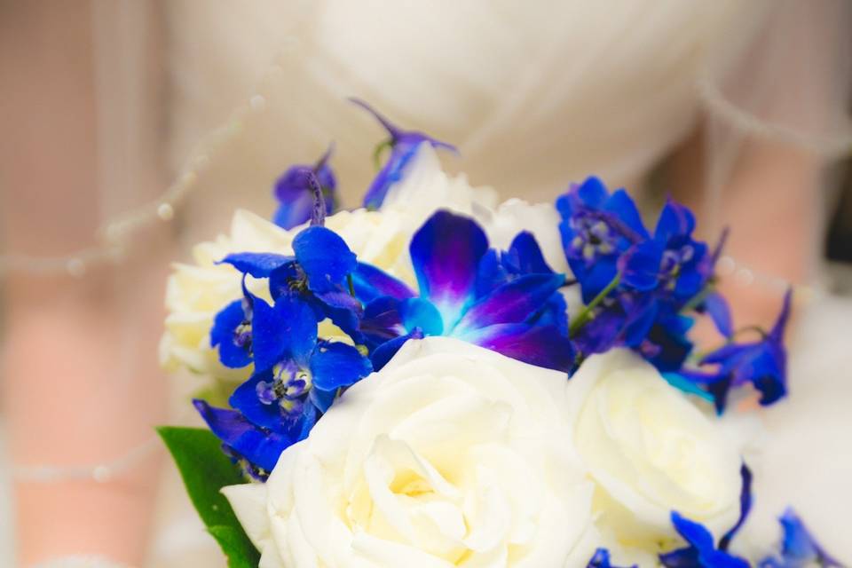 White and blue arrangement