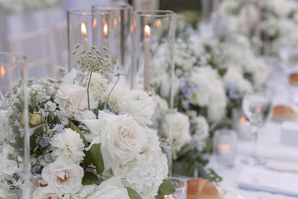 Deborah Zoe Photography