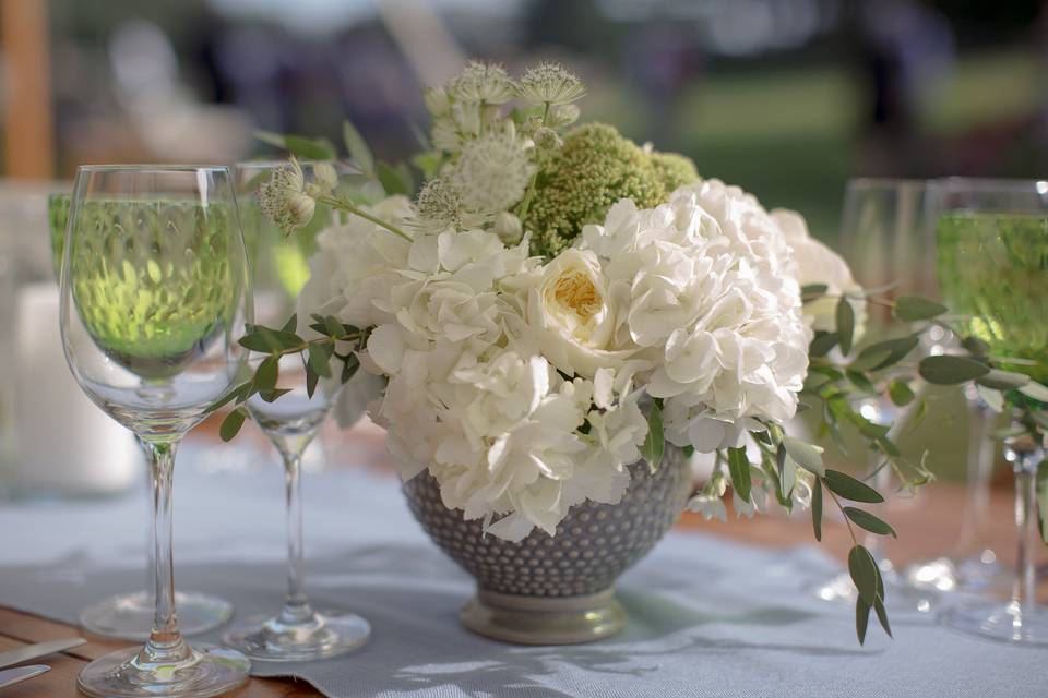 Deborah Zoe Photography