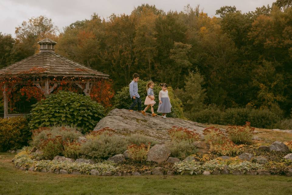 Fall Garden