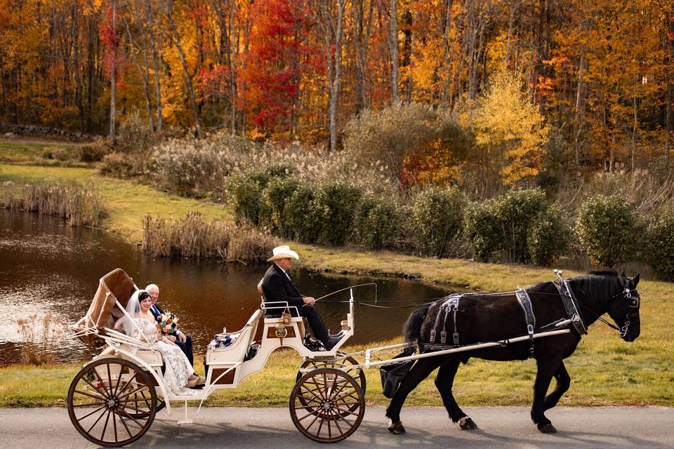 Couple's Carriage