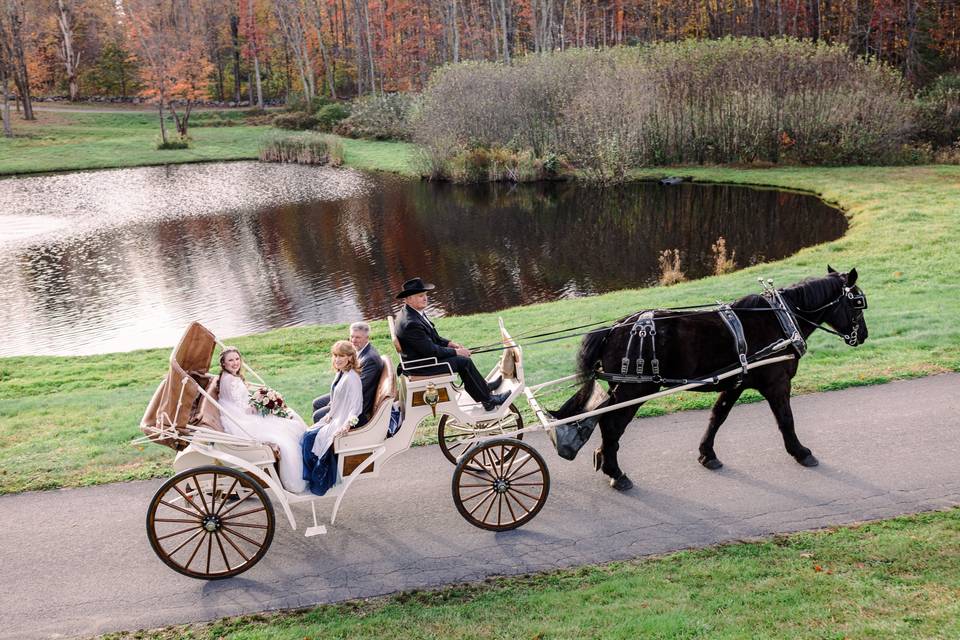 Country carriage
