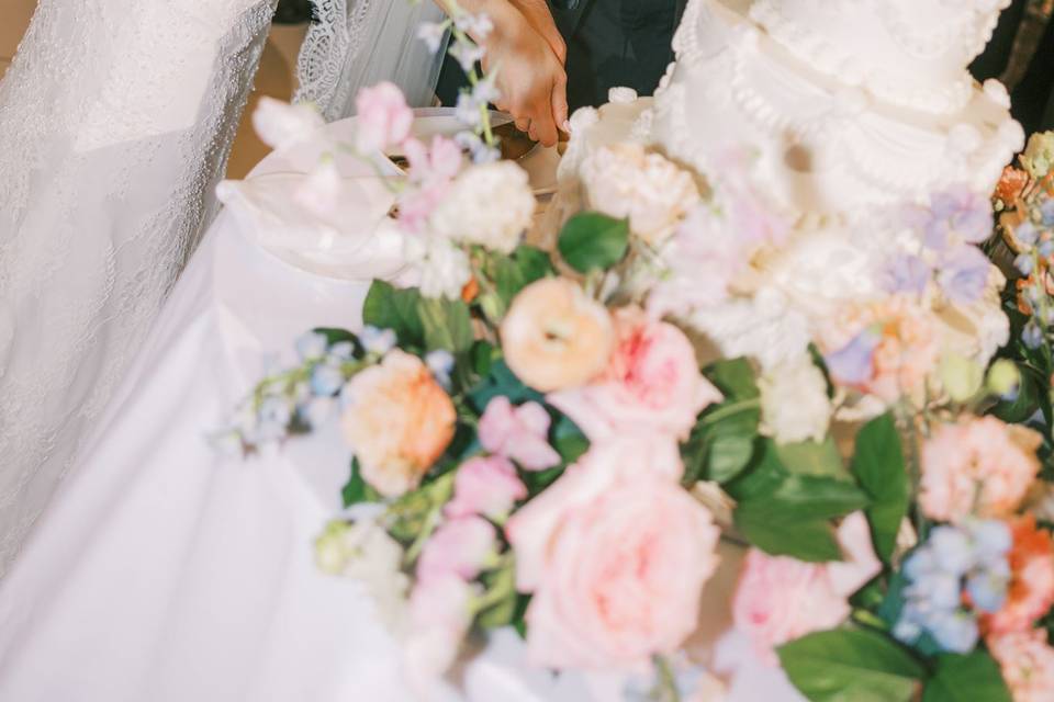 Irina Viotto Photography