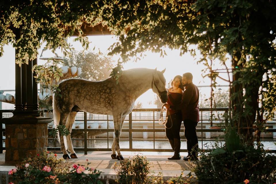 Engagement Ar A Horse Ranch