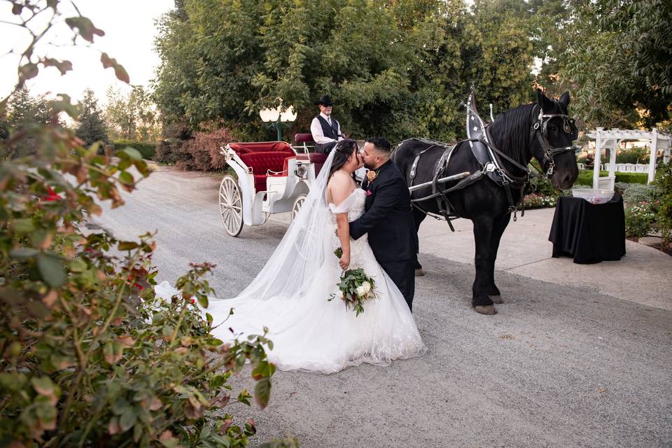 Carriage Beauty