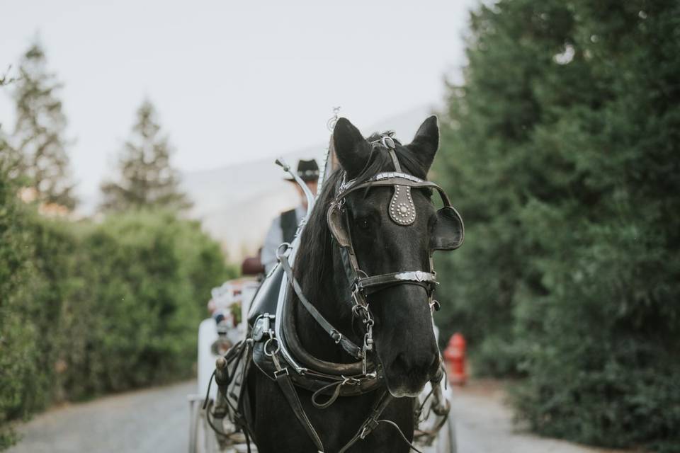 Wonder Valley Ranch Resort