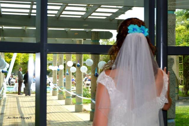 Jane Amelia Photography