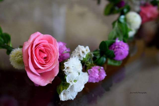 Jane Amelia Photography