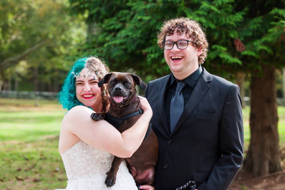 Bride & groom & dog picture