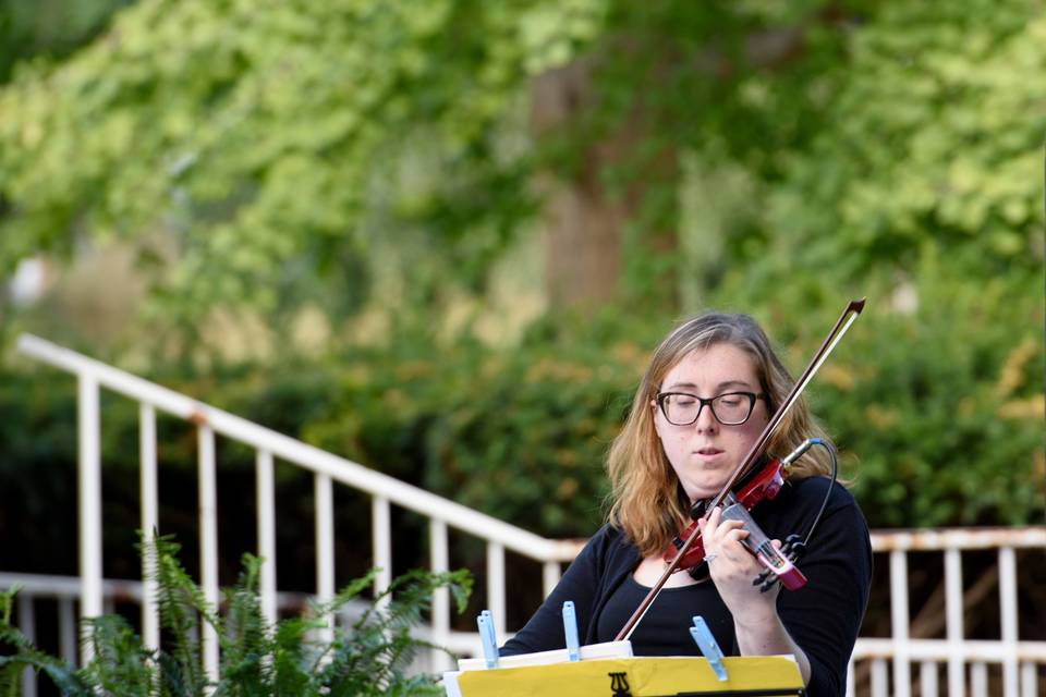 Action shot playing violin