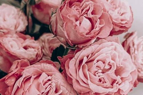 Magnolia Melody Floral Design