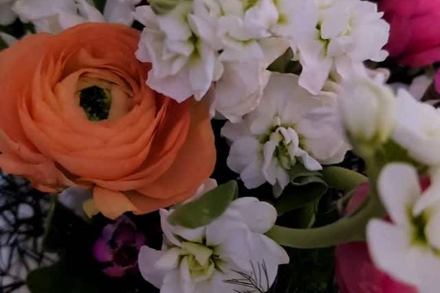 Magnolia Melody Floral Design
