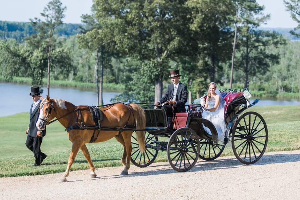 Horse-drawn carriage for wedding