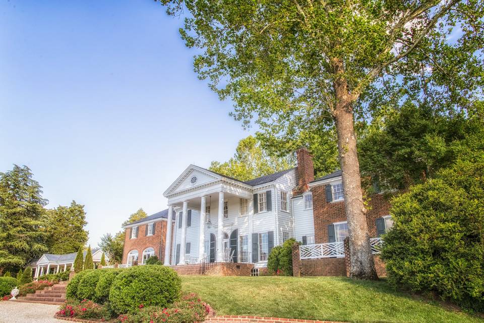 Boxwood garden