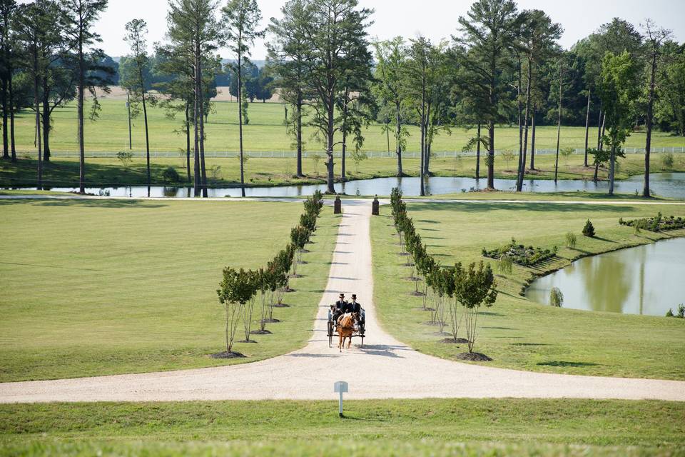 Fall 2020 Cumberland Estate