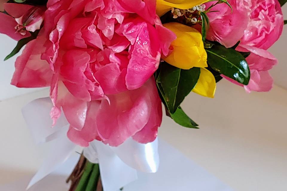 Peonies are Special