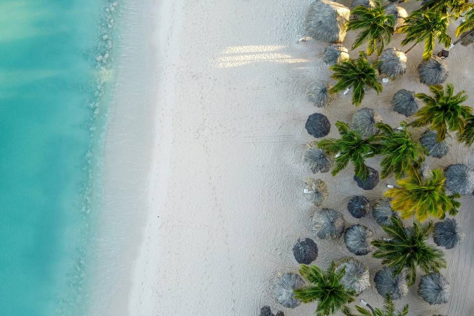 Blissful Travel