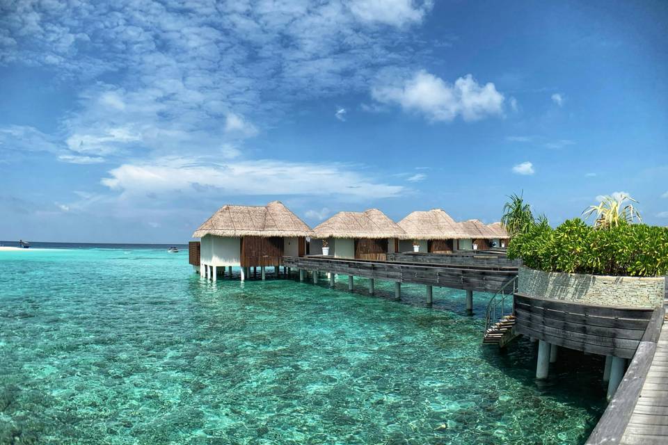 Blissful Travel