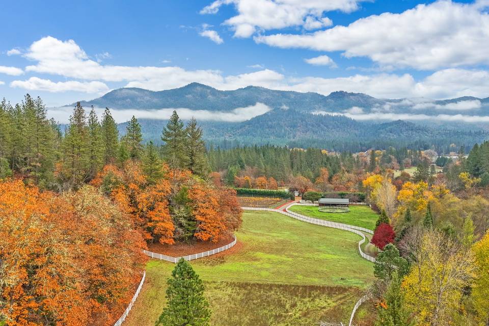 Equestrian Pasture