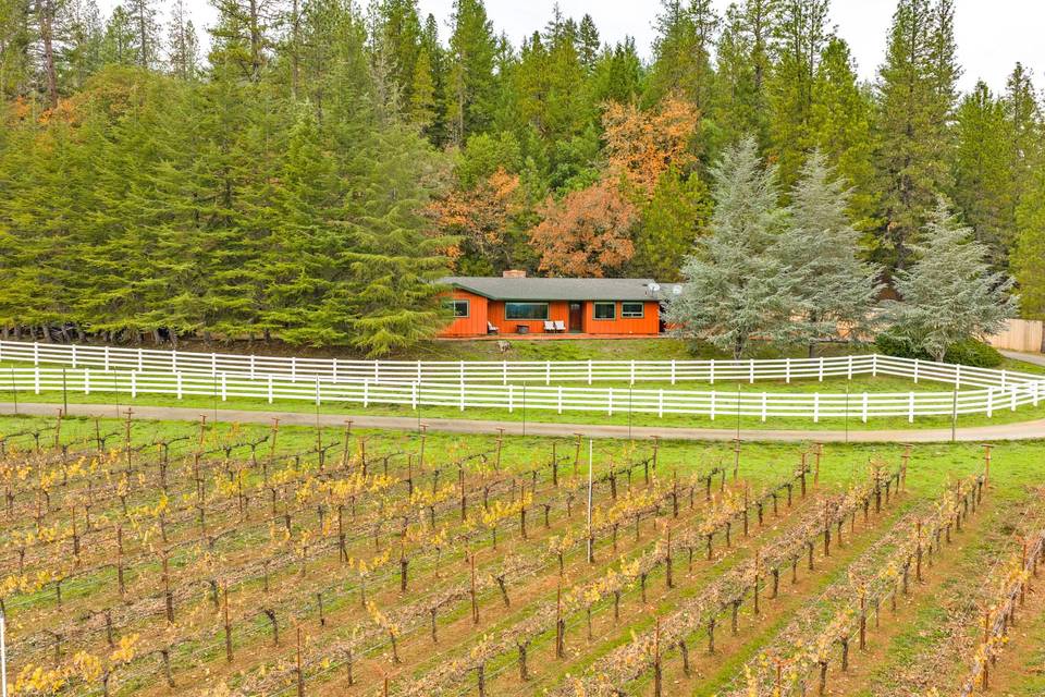 Vineyard House
