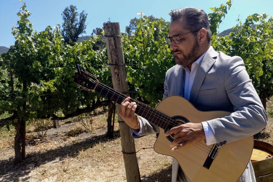 Brix Napa Wedding