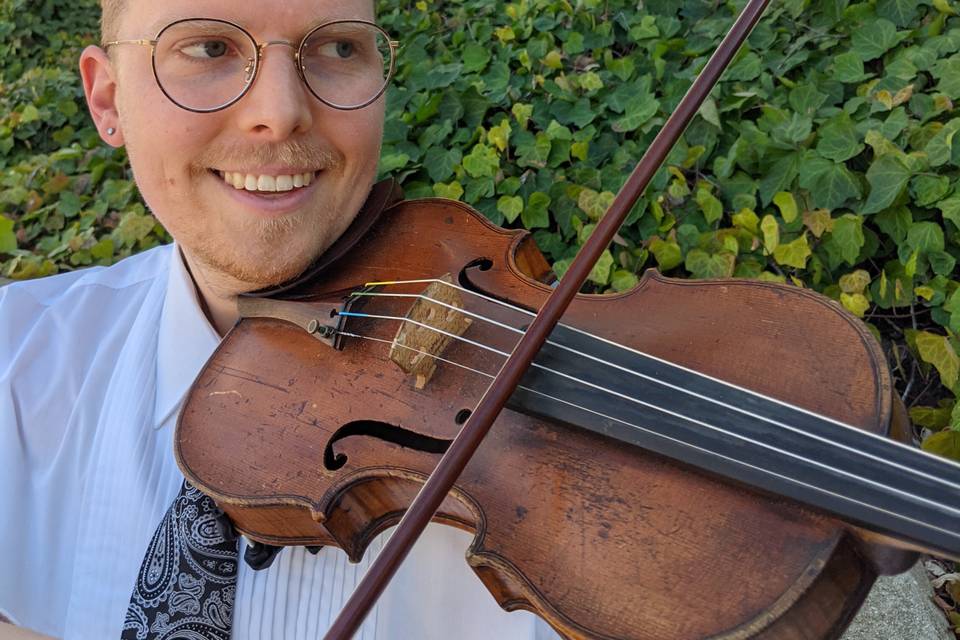 Playing violin with ivy behind