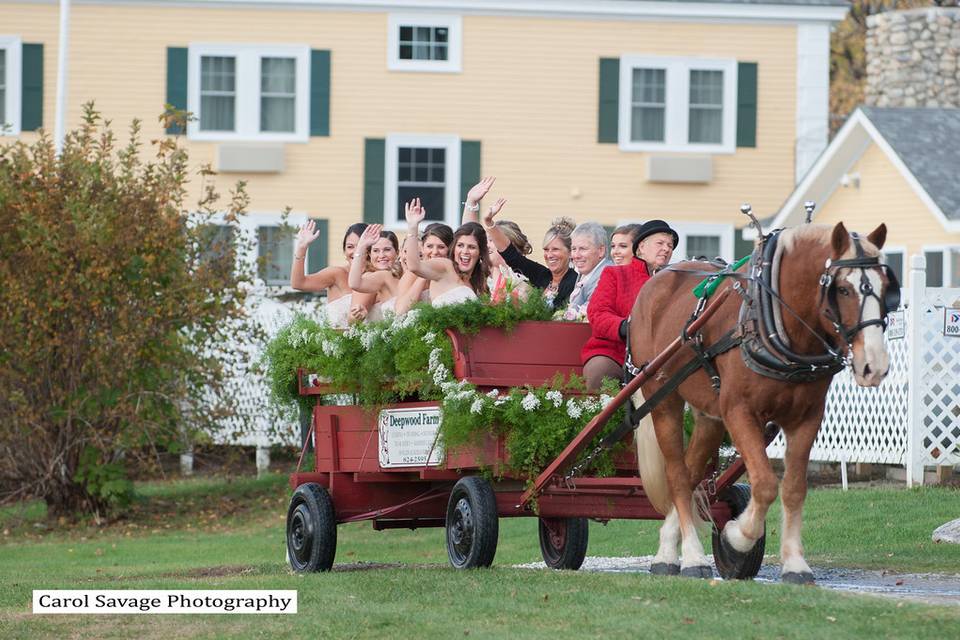 Bridal attendants