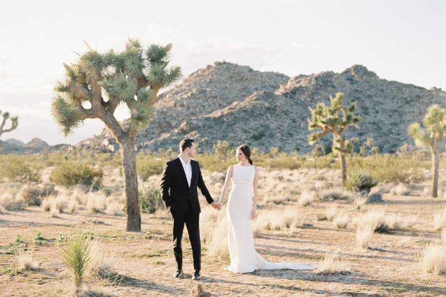 JOSHUA TREE ELOPEMENT