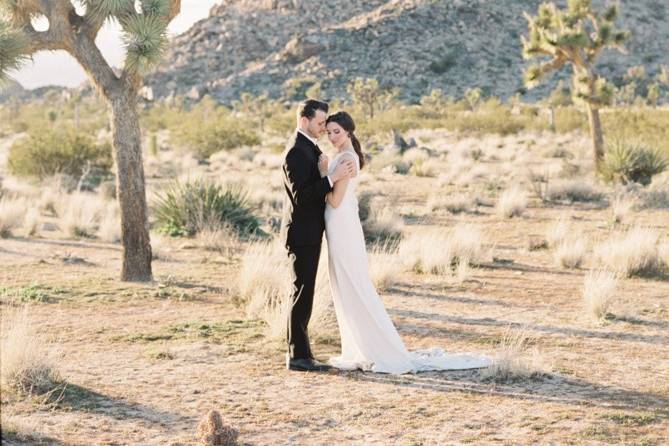 JOSHUA TREE ELOPEMENT