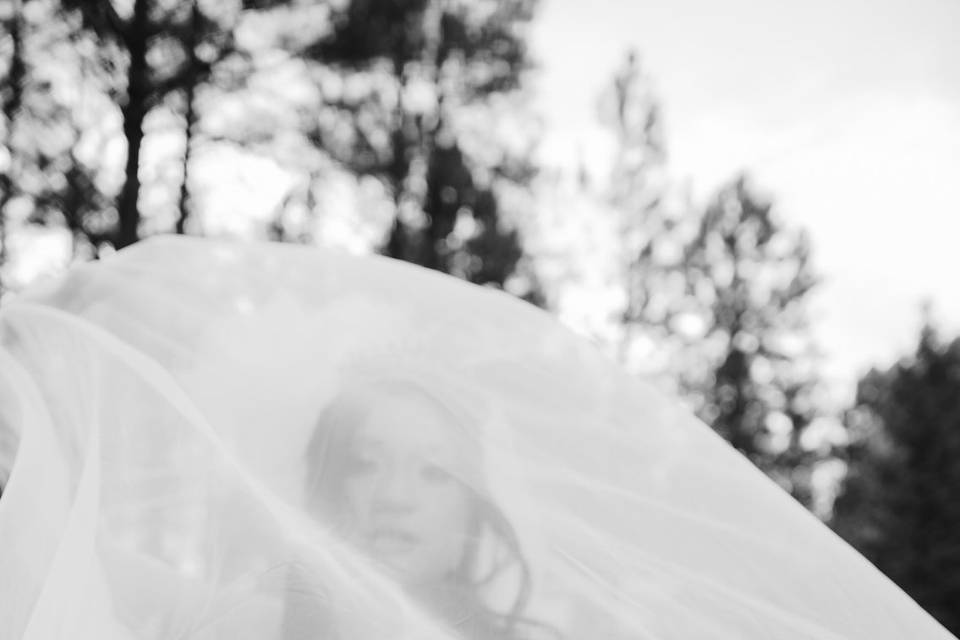 Wedding photography