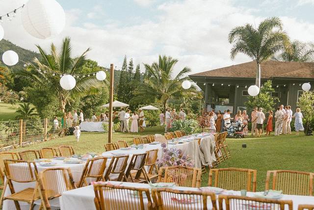 Whimsical Backyard Dinner
