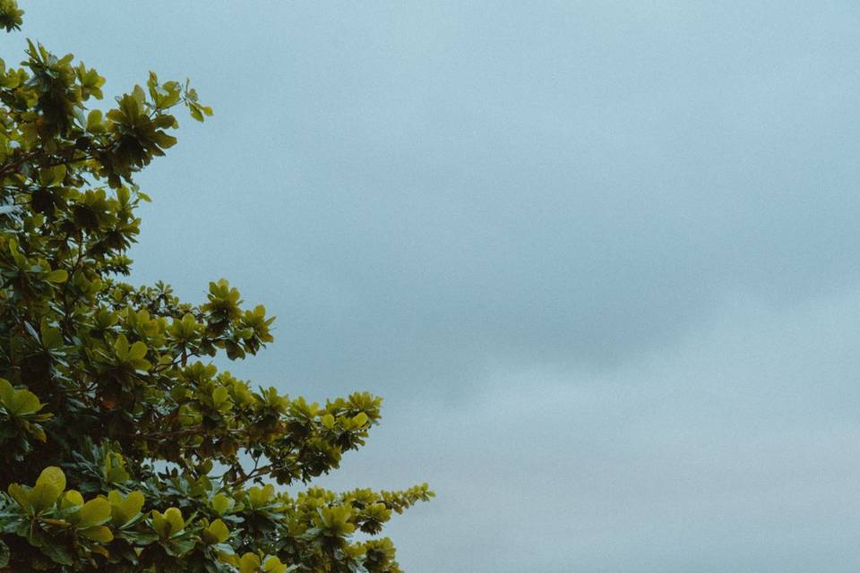 Hanalei Bridal Portraits