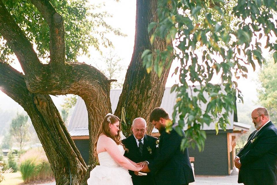 Wedding ceremony