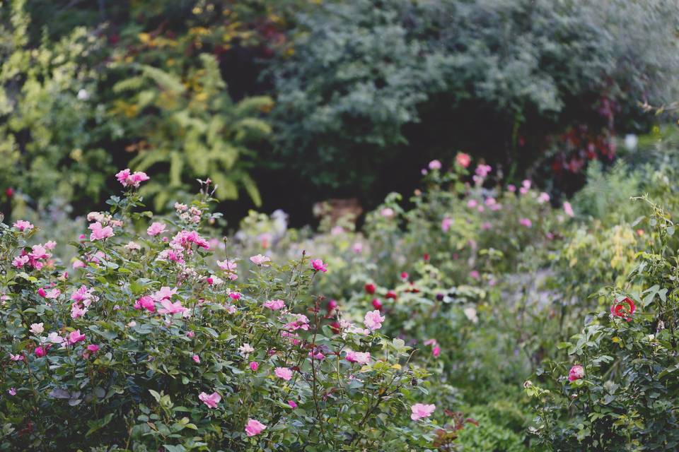 Rose Greely Garden