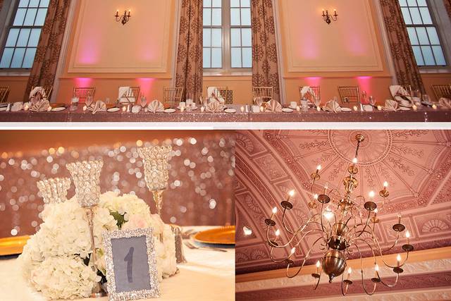 Tracy Ann Photography