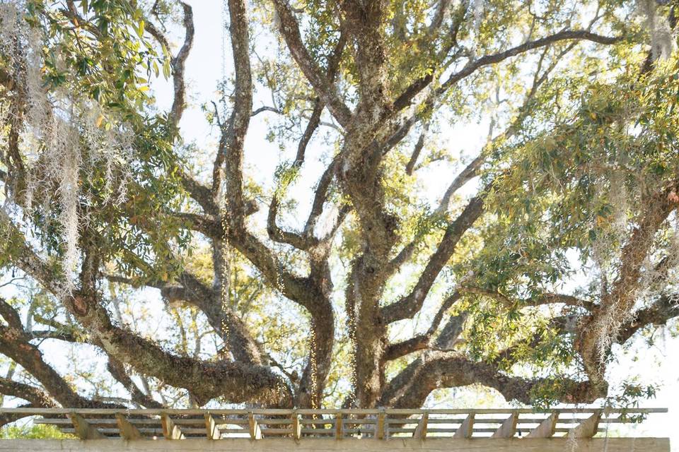 Pin Oak Venue