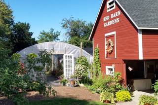 Red Barn Gardens