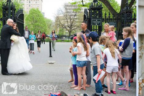 Blue Daisy Weddings