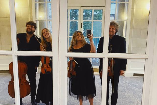 Rhose Studio Strings