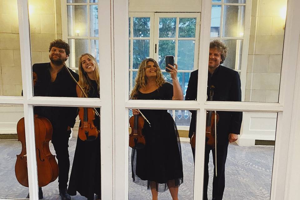 Rhose Studio Strings
