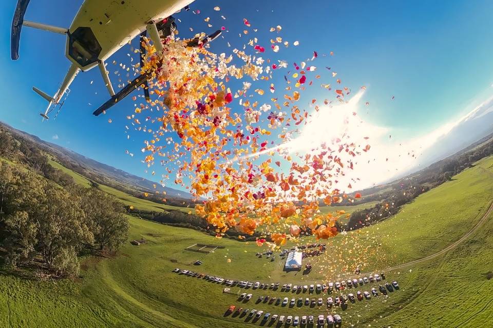 Go Fly Maui