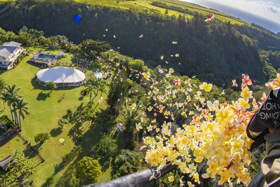 Flower Shower