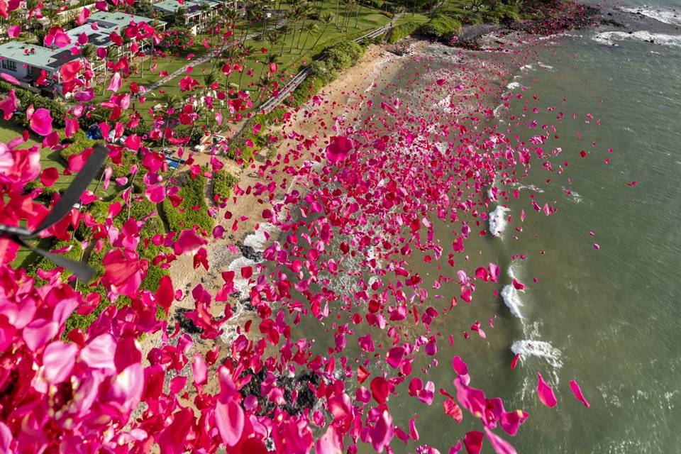 Flower Shower