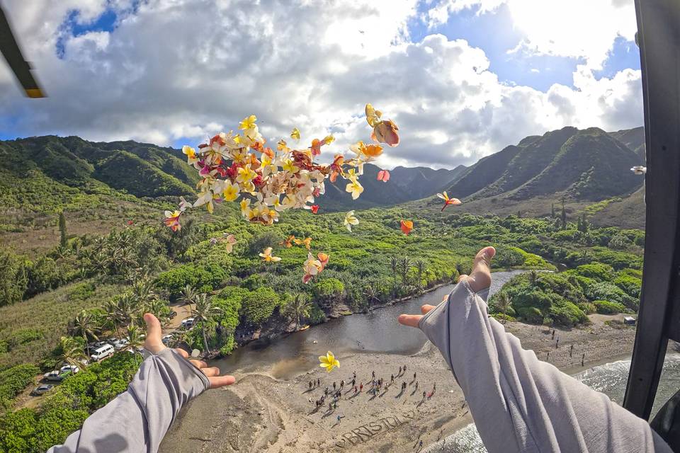 Flower Shower