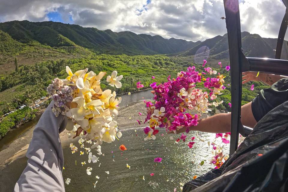 Flower Shower